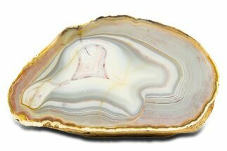 Polished Queensland Agate Nodule - Australia #323014