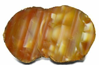 Polished Queensland Agate Nodule - Australia #323017