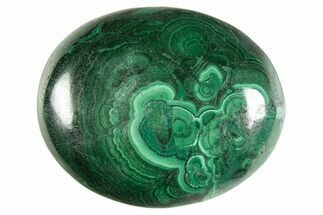 Polished Banded Malachite Palm Stone - DR Congo #321181