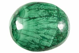 Polished Banded Malachite Palm Stone - DR Congo #321184