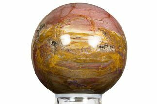 Colorful Petrified Wood (Araucaria) Sphere - Madagascar #323606