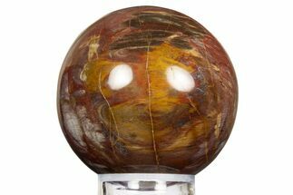 Colorful Petrified Wood (Araucaria) Sphere - Madagascar #323609