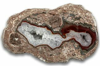 Polished Baker Ranch Thunderegg - New Mexico #323782