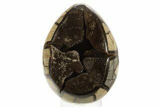 Septarian Dragon Egg Geode - Black Crystals #323470