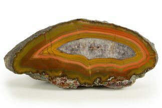 Colorful Polished Agate Nodule Half - South America #323838
