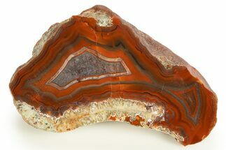 Colorful, Polished Condor Agate - Argentina #323862