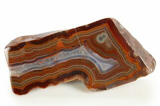 Colorful, Polished Condor Agate - Argentina #323863