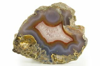 Polished Banded Laguna Agate Section - Mexico #323889