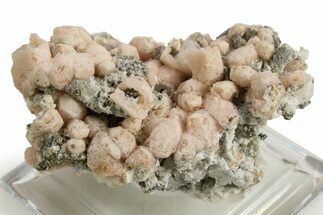 Pink Rhodochrosite After Calcite on Barite & Pyrite - Bulgaria #323945