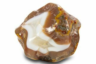 Tumbled Banded Agate Nodule - Kerrouchen, Morocco #324026