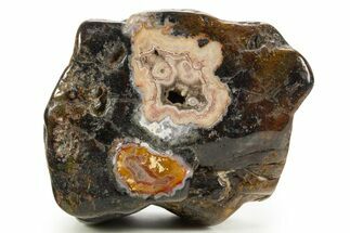 Polished Berber Agate Section - Sidi Rahal, Morocco #324036