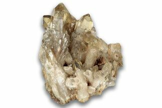 Smoky Citrine Crystal Cluster - Luena, DR Congo #324389