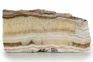 Polished Banded Travertine Slab - New Mexico #324325