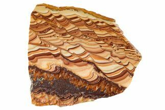 Polished Slab Of Rolling Hills Dolomite - Mexico #324427
