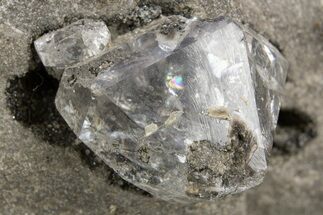 Herkimer Diamonds in Matrix - The Ace of Diamonds Mine, New York #324469