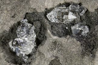 Herkimer Diamonds in Matrix - The Ace of Diamonds Mine, New York #324507