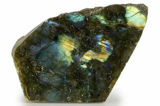 Single Side Polished Labradorite Section - Madagascar #324641