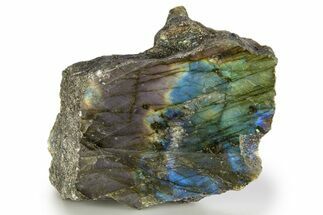 Single Side Polished Labradorite Section - Madagascar #324644