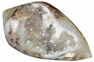 Chalcedony Replaced Gastropod With Sparkly Quartz - India #320806