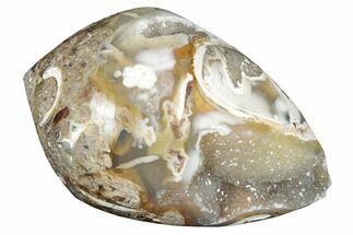Chalcedony Replaced Gastropod With Sparkly Quartz - India #320811