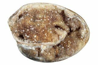 Chalcedony Replaced Gastropod With Sparkly Quartz - India #320816