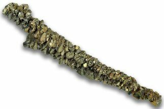 Iridescent Marcasite Crystal Stalactite - Linwood Mine, Iowa #324808