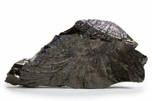 Shungite For Sale - FossilEra.com