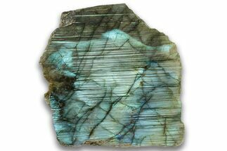 Single Side Polished Labradorite Section - Madagascar #324655