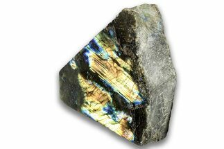 Single Side Polished Labradorite Section - Madagascar #324679
