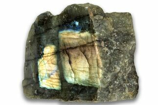 Single Side Polished Labradorite Section - Madagascar #324681
