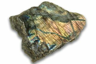 Single Side Polished Labradorite Section - Madagascar #324684