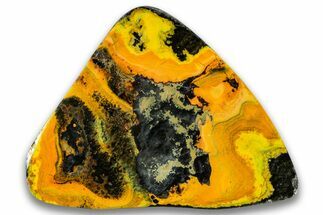 Very Vibrant, Free-Standing Polished Bumblebee Jasper #324948