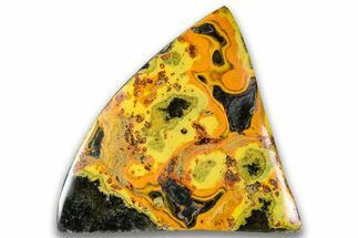 Very Vibrant, Polished Bumblebee Jasper #324956