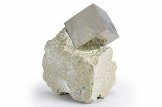 Natural Pyrite Cube In Rock - Navajun, Spain #324978