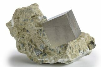 Natural Pyrite Cube In Rock - Navajun, Spain #324997