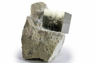 Natural Pyrite Cube In Rock - Navajun, Spain #325029