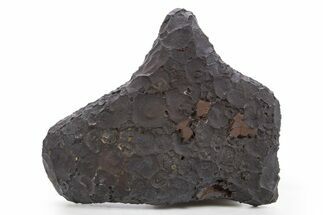 Dragon Scale Stone (Iron, Manganese, Siderite Nodule) #302333