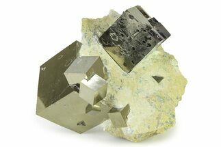 Five Natural Pyrite Cubes In Matrix - Spain #325096