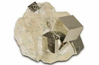 Five Lustrous Natural Pyrite Cubes in Rock - Navajun, Spain #325113