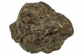 Abadla CM Chondrite Meteorite ( g) - Algeria #313070