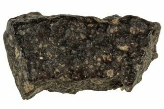 Abadla CM Chondrite Meteorite ( g) - Algeria #313097