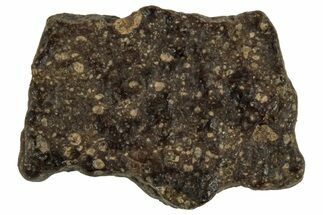 Abadla CM Chondrite Meteorite ( g) - Algeria #313099