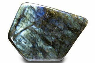 Flashy, Free-Standing Polished Labradorite - Madagascar #325228