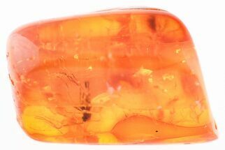 Fossil Fly (Diptera) and Amber Stalactite in Baltic Amber #325384