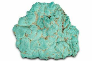Teal Blue Chilean Turquoise Nugget ( grams) #325525