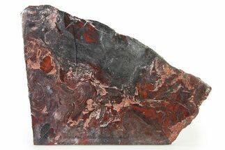 Polished Stromatolite (Collenia) Slab - Minnesota #326048