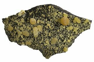 Globular Yellow Calcite Formations on Basalt - Italy #325606