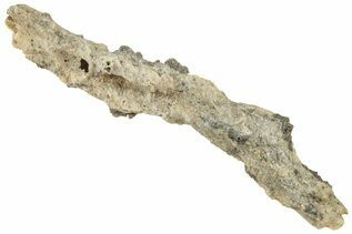 Buy Fulgurites