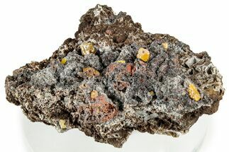 Orange Wulfenite Crystals on Matrix - Congo #326584