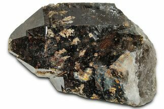Lustrous Smoky Quartz Crystal Cluster - Malawi #326638